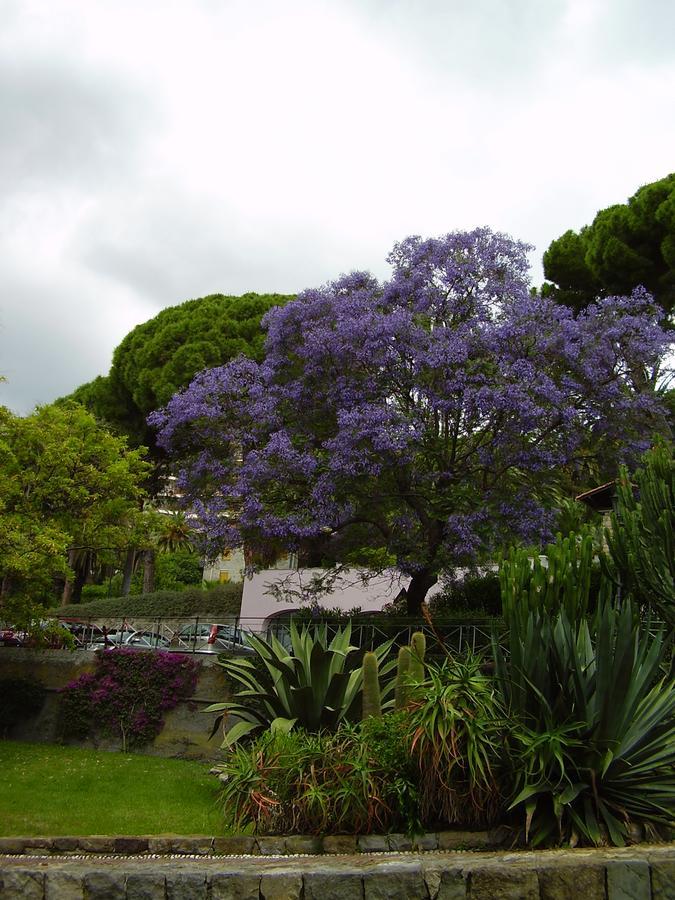 Hotel Aurora Bordighera Exterior photo